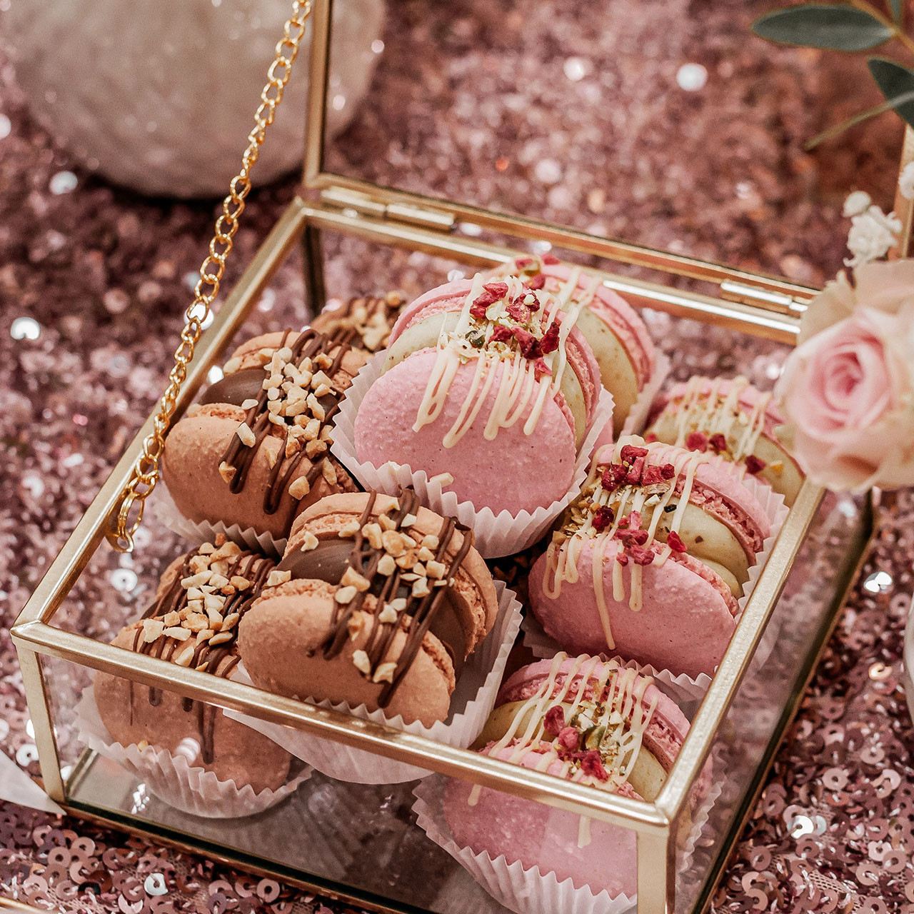 Makaronik premium - zestaw 15 sztuk